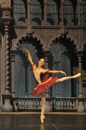 Gallery photo 4 of Anischenko Ballet