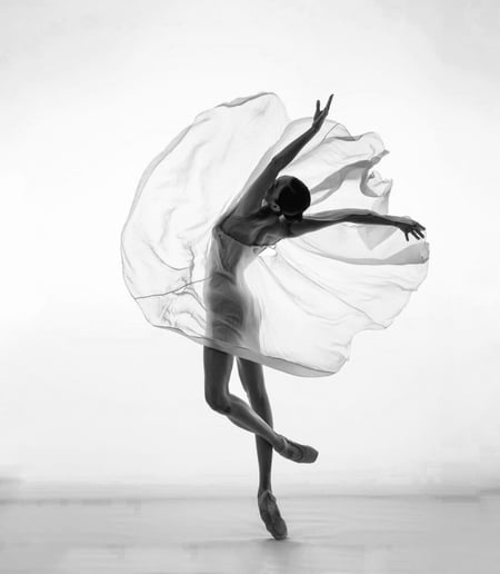 Gallery photo 6 of Anischenko Ballet