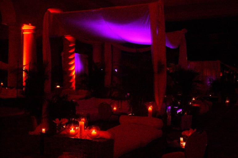 Gallery photo 5 of Ann Tonie  Concepts & Design