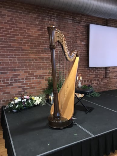 Gallery photo 2 of Anna Gallo, Harpist, Pianist, & Vocalist