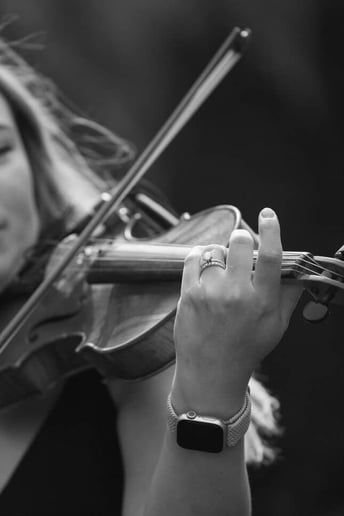 Gallery photo 7 of Piotrowski Strings