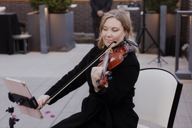 Gallery photo 12 of Piotrowski Strings