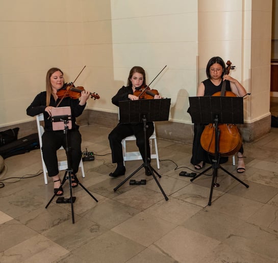 Gallery photo 3 of Piotrowski Strings