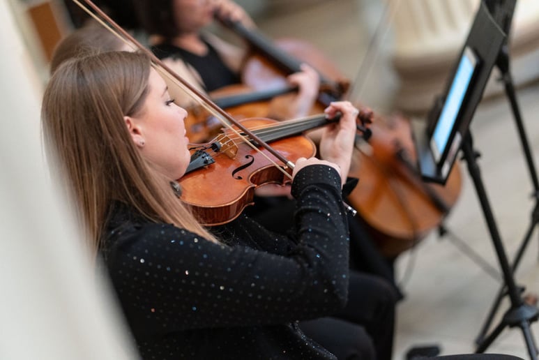 Gallery photo 5 of Piotrowski Strings