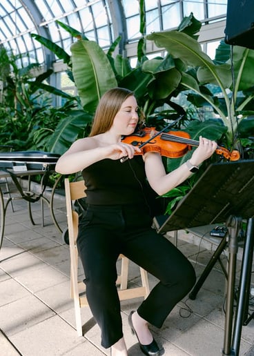 Gallery photo 4 of Piotrowski Strings
