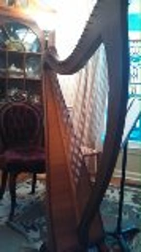 Gallery photo 7 of Anne Durant Harp