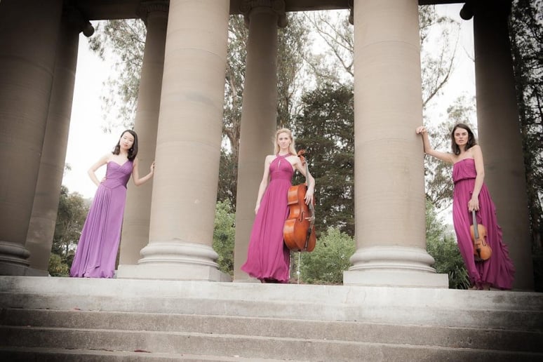 Gallery photo 10 of Anne Suda SRQ Cellist