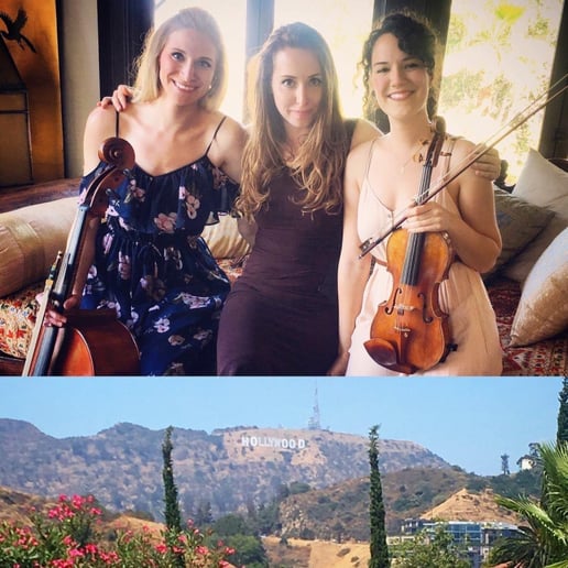 Gallery photo 17 of Anne Suda SRQ Cellist