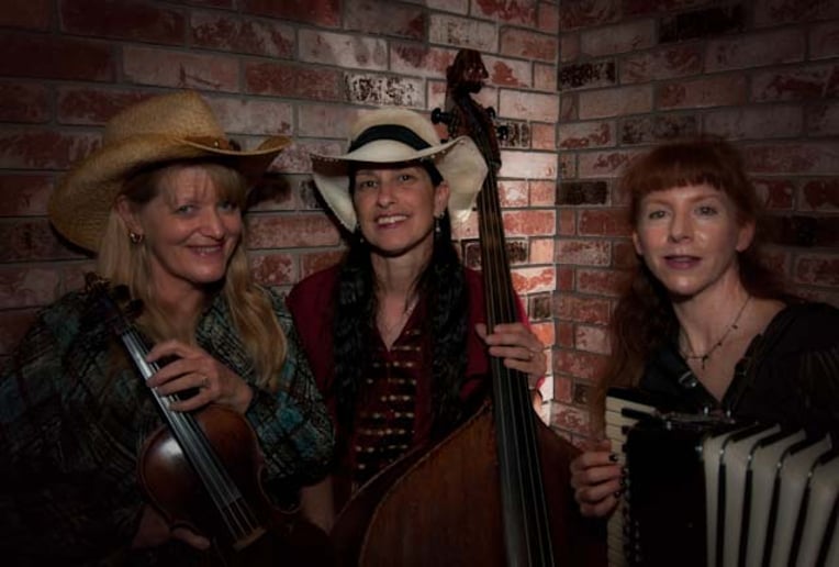 Gallery photo 8 of Annie Marie & Fiddlaround