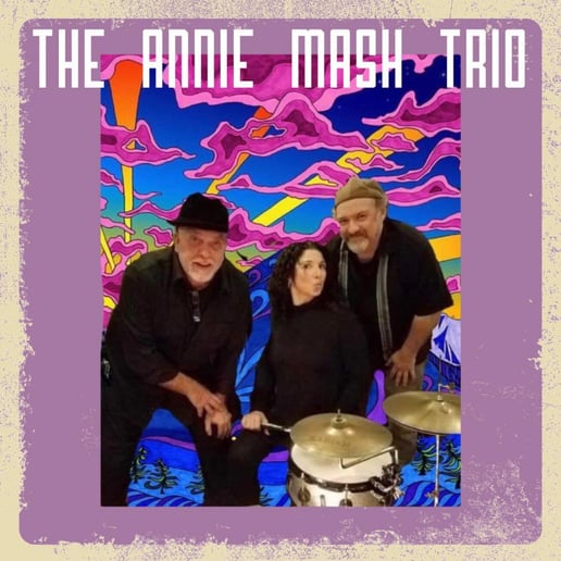Gallery photo 5 of Annie Mash Duo/Trio