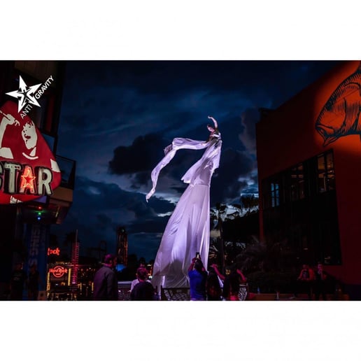 Gallery photo 7 of AntiGravity