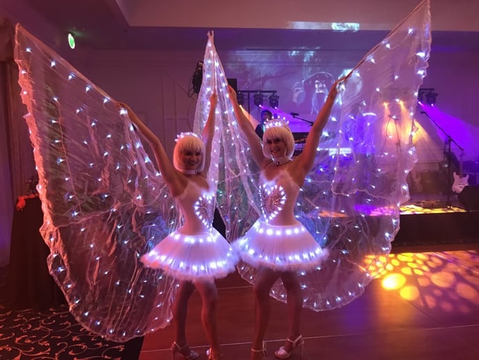 Gallery photo 5 of WeCirque