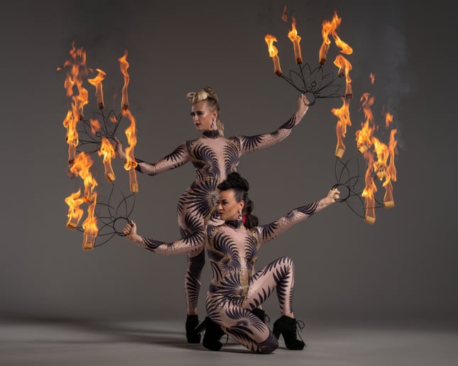 Gallery photo 4 of WeCirque