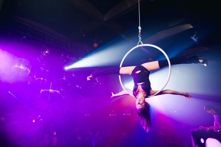 Gallery photo 7 of WeCirque