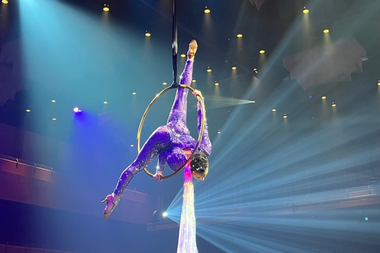 Gallery photo 1 of WeCirque