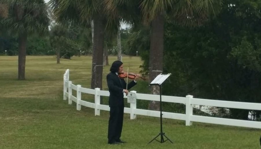 Gallery photo 3 of Any Occasion Violin