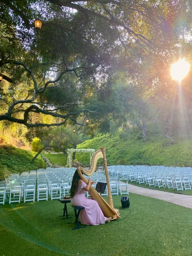 Gallery photo 1 of Anya Garipoli, Wedding + Event Harpist
