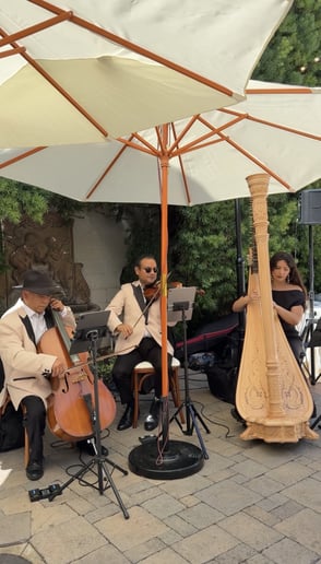Gallery photo 7 of Anya Garipoli, Wedding + Event Harpist