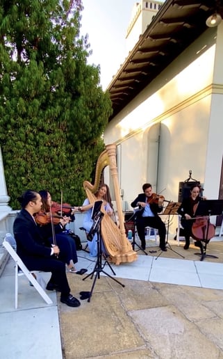 Gallery photo 10 of Anya Garipoli, Wedding + Event Harpist