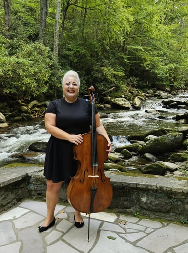 Gallery photo 7 of AP Strings
