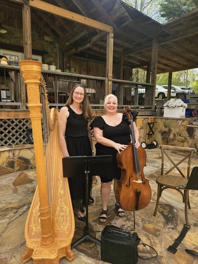 Gallery photo 9 of AP Strings