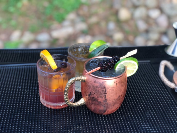 Gallery photo 3 of Appalachian Bartending LLC