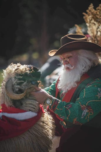 Gallery photo 2 of Appalachian Santa - WNC’s BEST Santa!