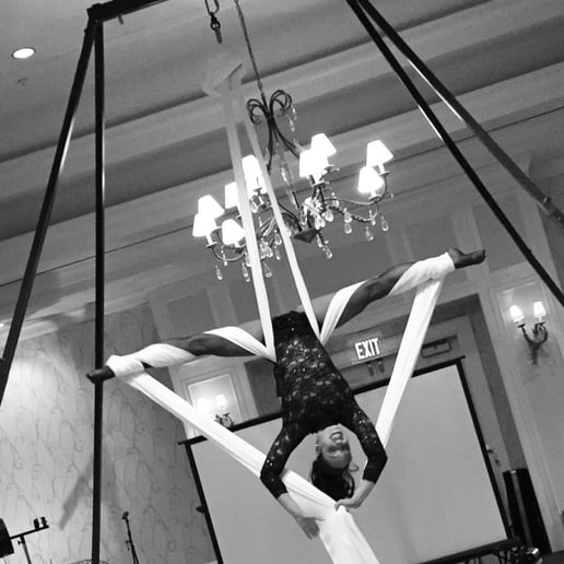 Gallery photo 23 of Aqua Acro Entertainment