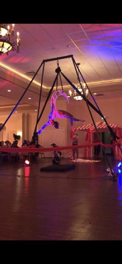 Gallery photo 35 of Aqua Acro Entertainment
