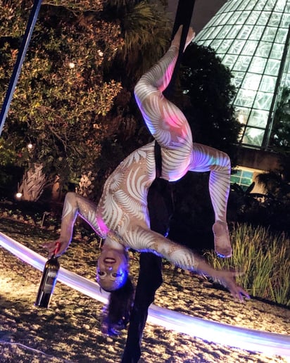 Gallery photo 36 of Aqua Acro Entertainment