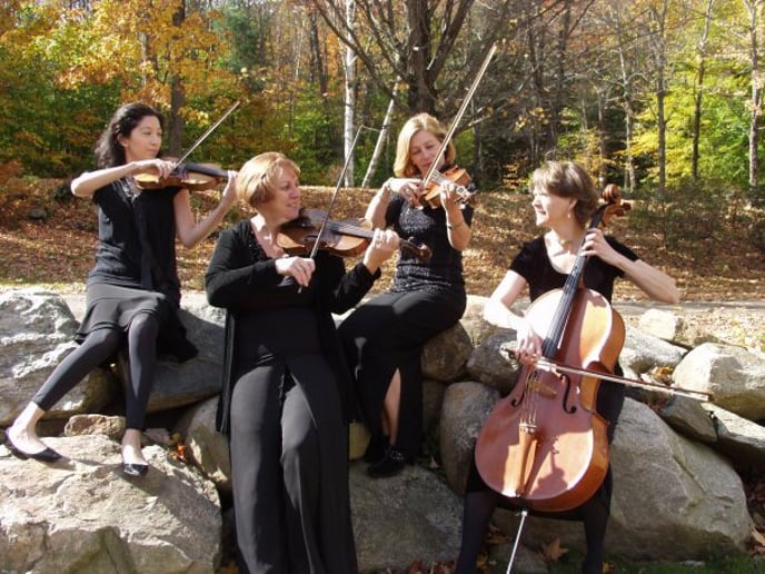 Gallery photo 1 of Arce Nova Strings Trio