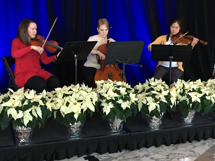 Gallery photo 1 of Sonare Strings