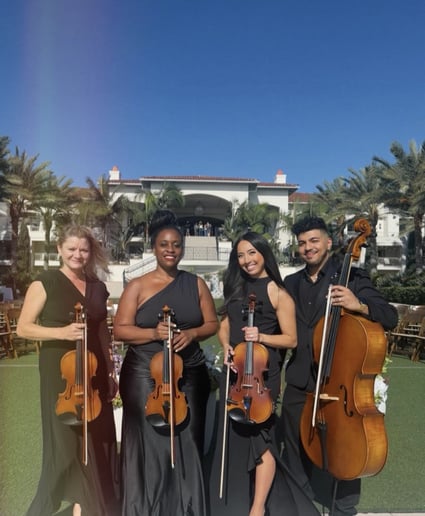 Gallery photo 4 of Arco Strings