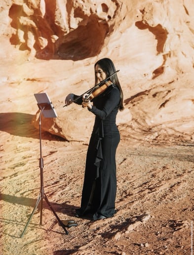Gallery photo 6 of Arco Strings