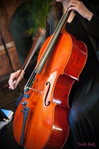 Gallery photo 1 of Arcobaleno Strings
