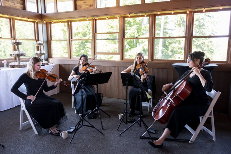 Gallery photo 3 of Arcobaleno Strings