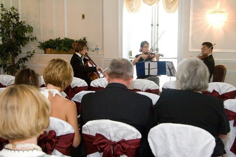 Gallery photo 1 of Arethusa Strings