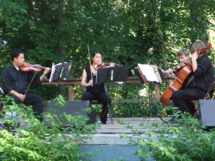 Gallery photo 2 of Arethusa Strings