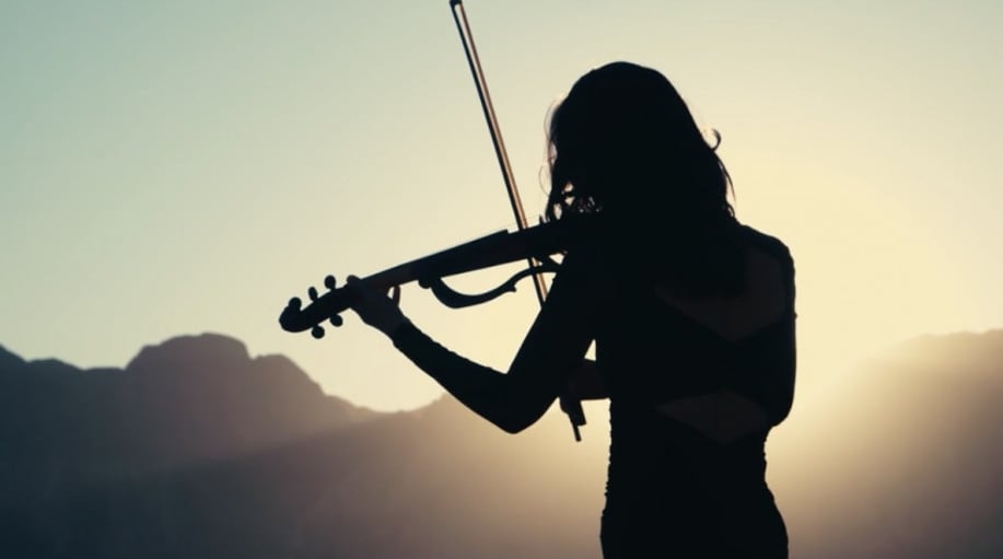 Gallery photo 6 of Arethusa Strings