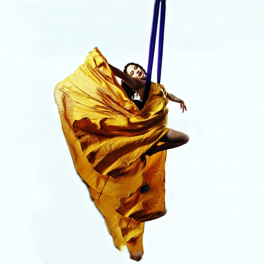Gallery photo 6 of Aria Fae Presents..