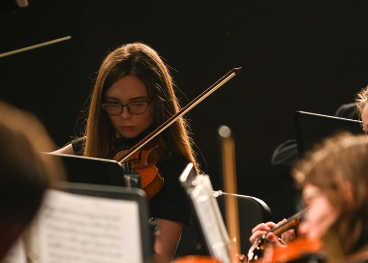 Gallery photo 9 of Aria Strings