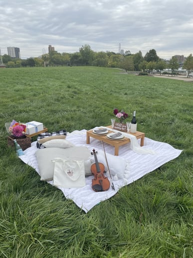 Gallery photo 4 of Arioso Strings