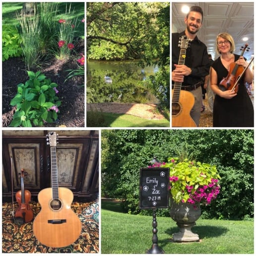 Gallery photo 11 of Arioso Strings