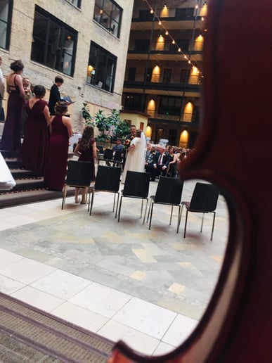 Gallery photo 16 of Arioso Strings