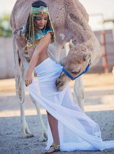 Gallery photo 9 of Arizona Camel Rental