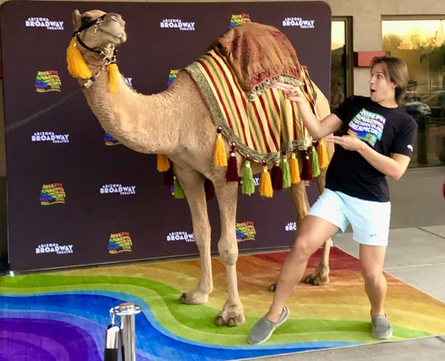 Gallery photo 2 of Arizona Camel Rental
