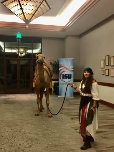 Gallery photo 12 of Arizona Camel Rental