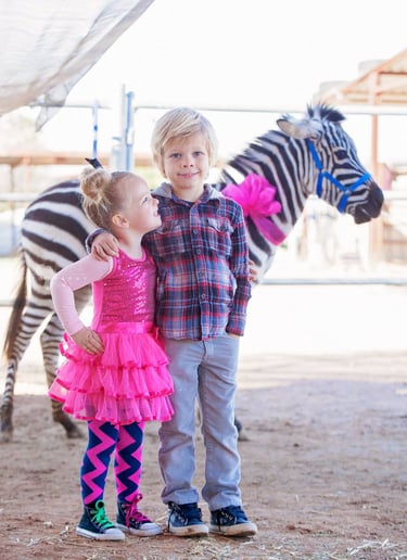 Gallery photo 28 of Arizona Camel Rental