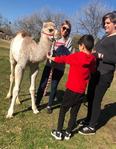 Gallery photo 13 of Arizona Camel Rental