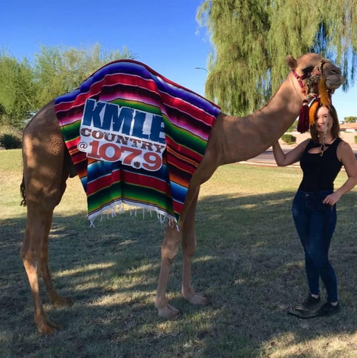 Gallery photo 15 of Arizona Camel Rental